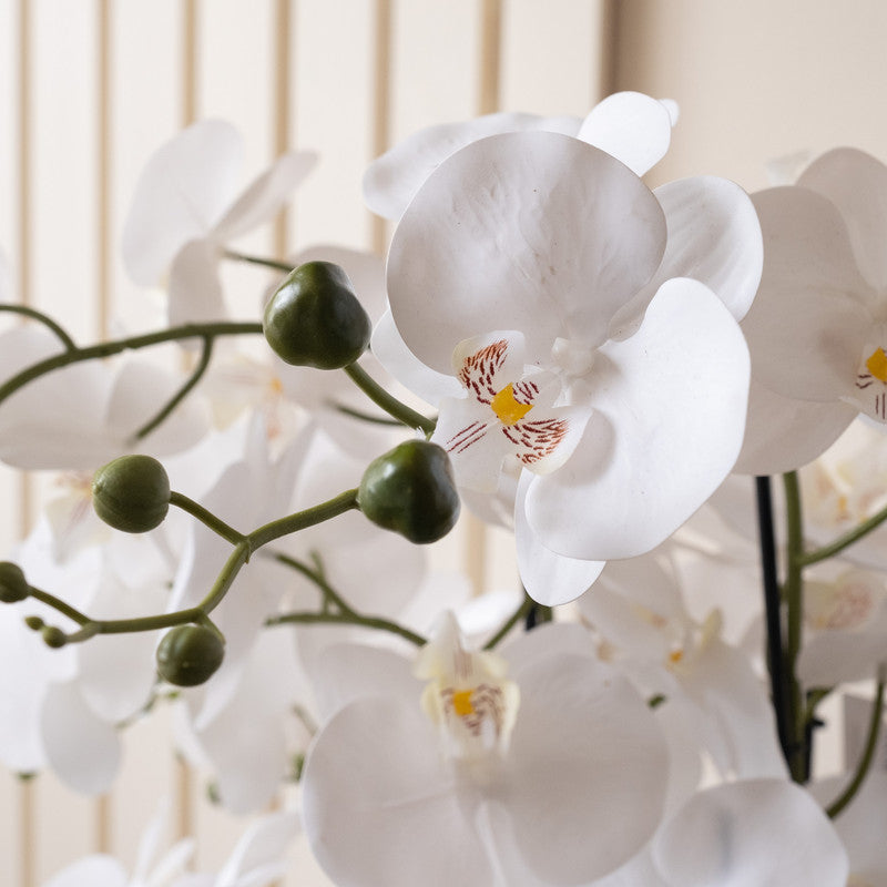 68cm Real Touch Artificial Orchid in Grey Ceramic Pot